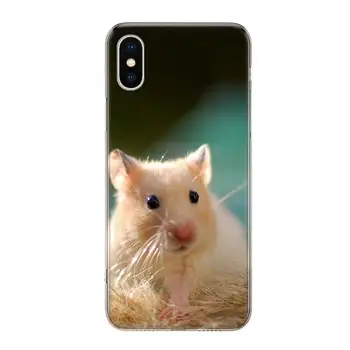Zajec miško Hrček Primeru Telefon Za iPhone 11 5 5 JV 6 6s 7 8 Plus X XS XR Pro Max Kritje Coque mehki Silikon TPU