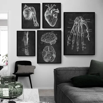 Človeške Anatomije Umetnine Zdravstvene Klinike, Stenske Slike Okostje Organ Mišičnega Sistema Letnik Platno, Tisk Telo Izobraževanje Plakat